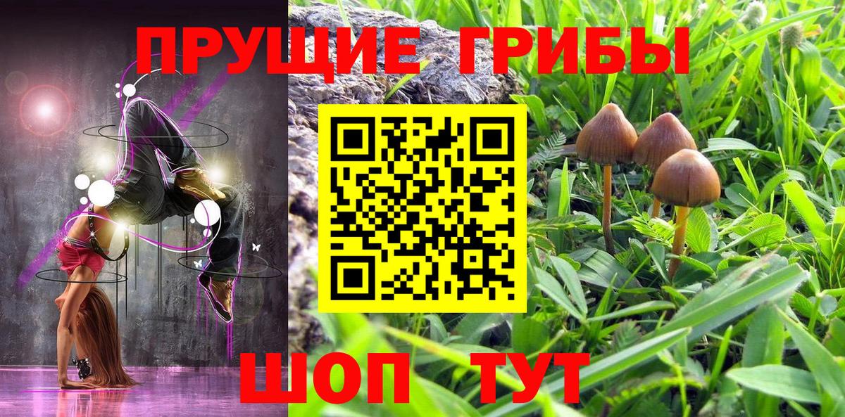 Псилоцибиновые грибы MAGIC MUSHROOMS  Вход с VPN  Курган 